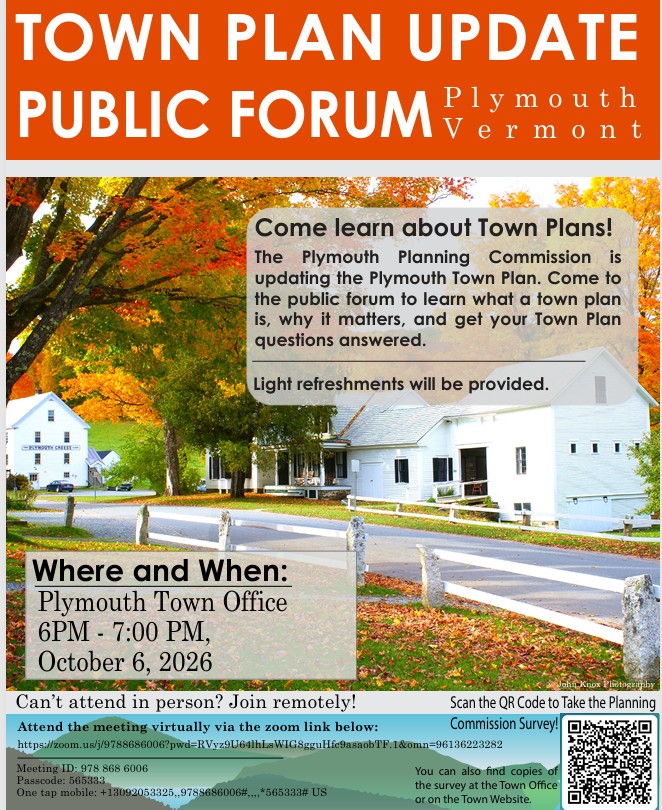Town Plan Public Forum