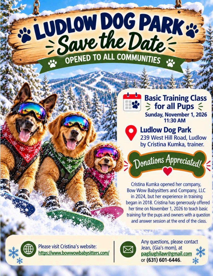 Dog Training